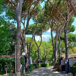 Linus Campingplatz Marina di Massa